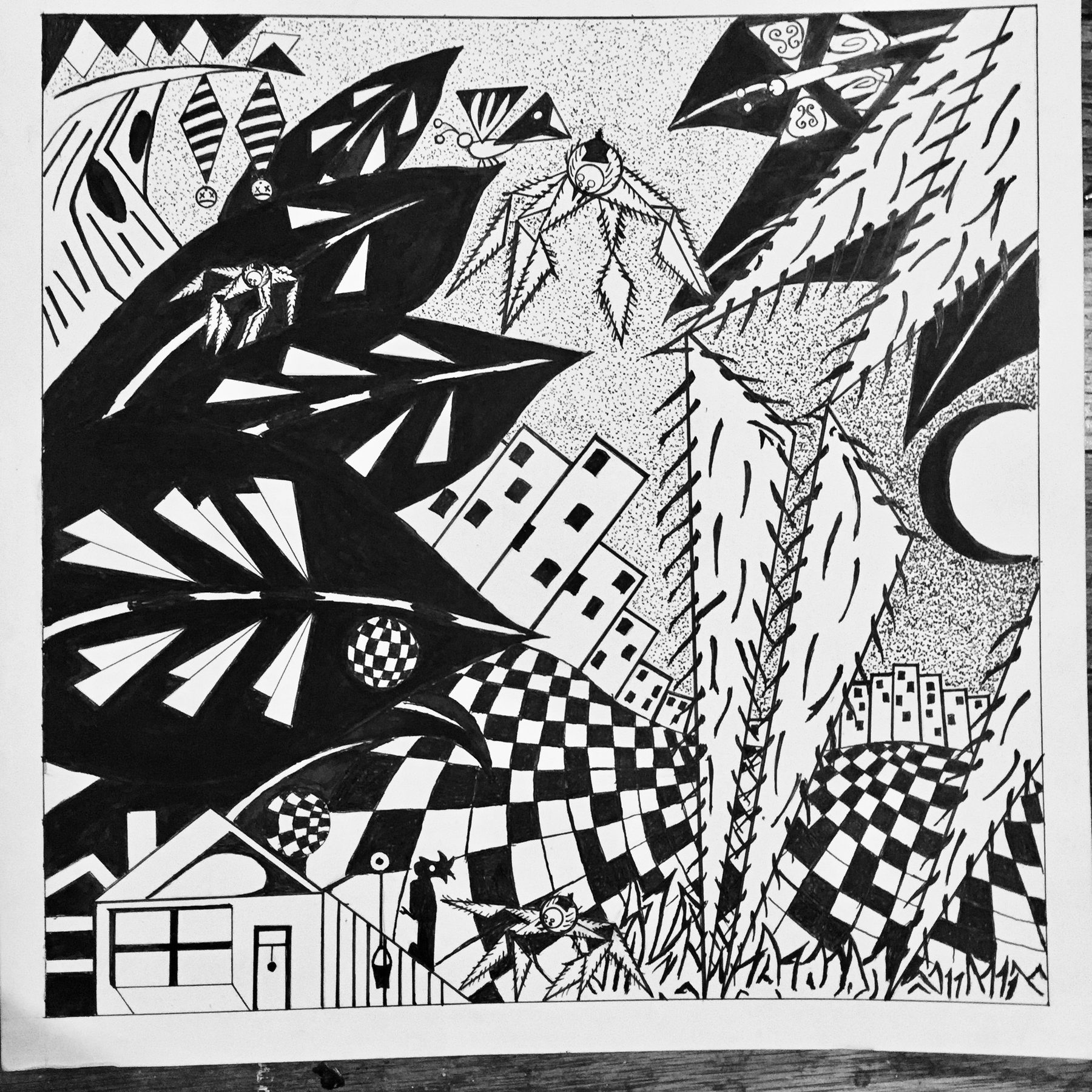 Nightwalk of the Spiders