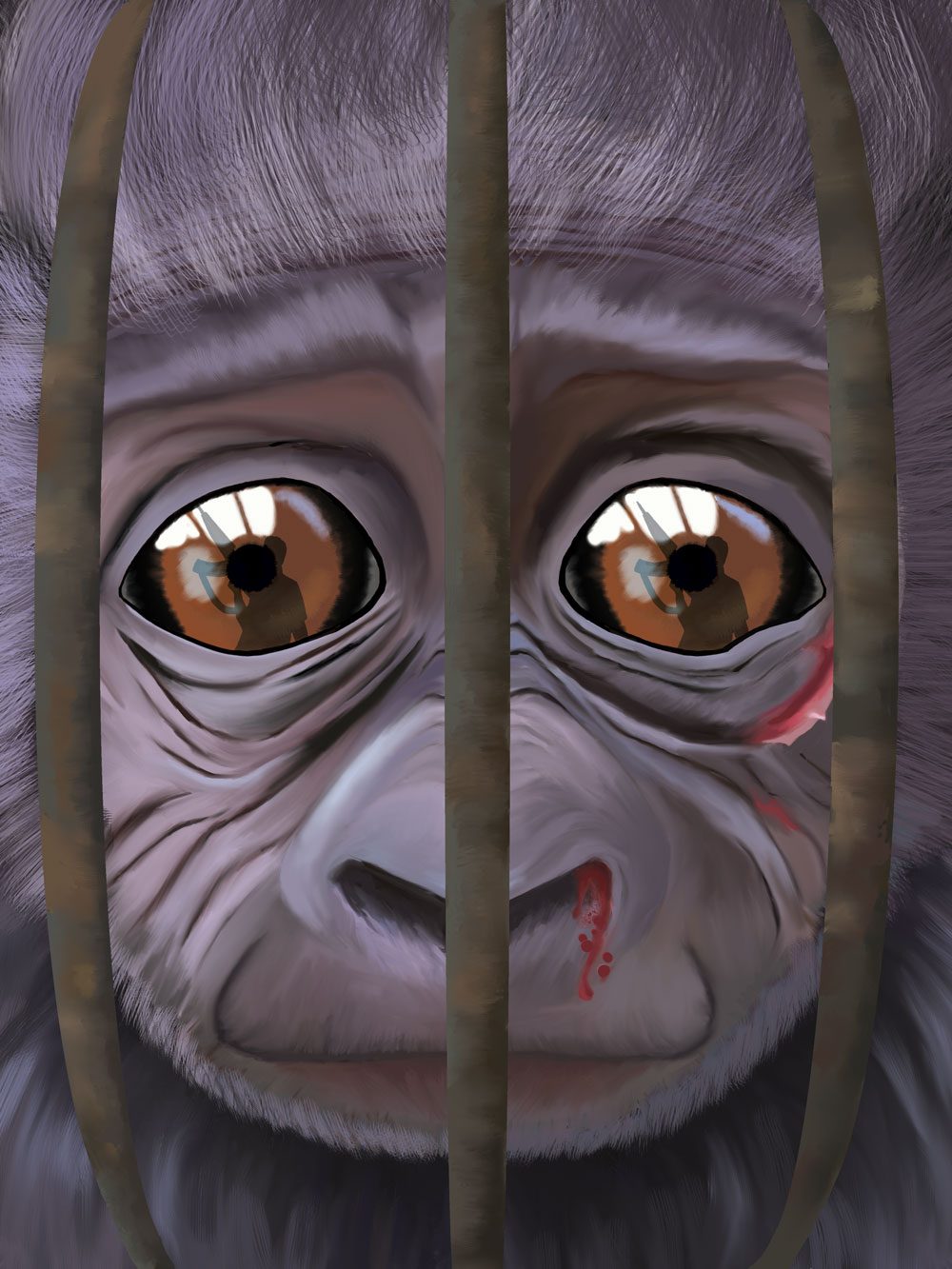 Gorilla Caged