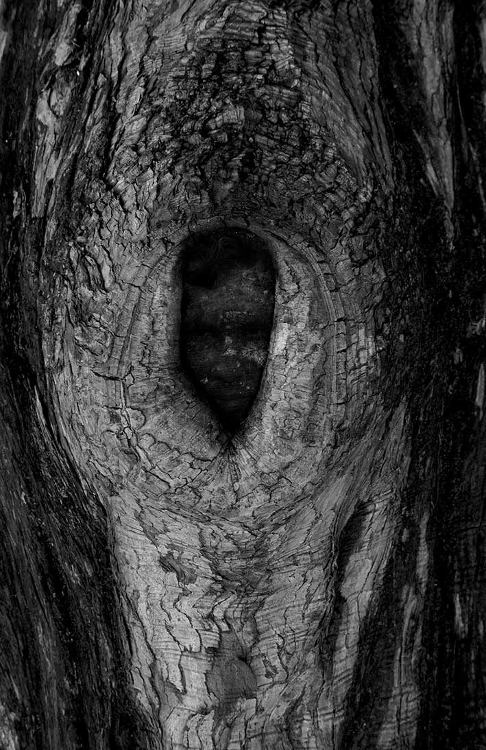 Natural Emergence